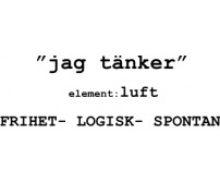 Astrologi Element Karaktärsdrag Tvillingarna
